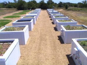 Research Modules at Lady Bird Johnson Wildflower Center