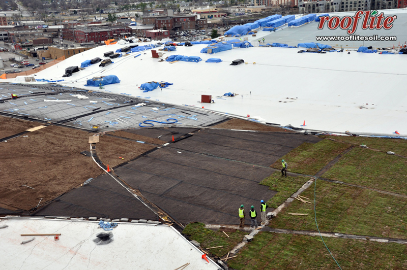 LSS Installs Sempergreen Sedum Mats installed over rooflite Green Roof Soil