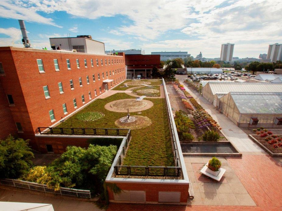 The Ohio State University (OSU) Green Roof at Howlett Hall featuring rooflite certified green roof media.