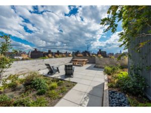 rooflite semi-intensive