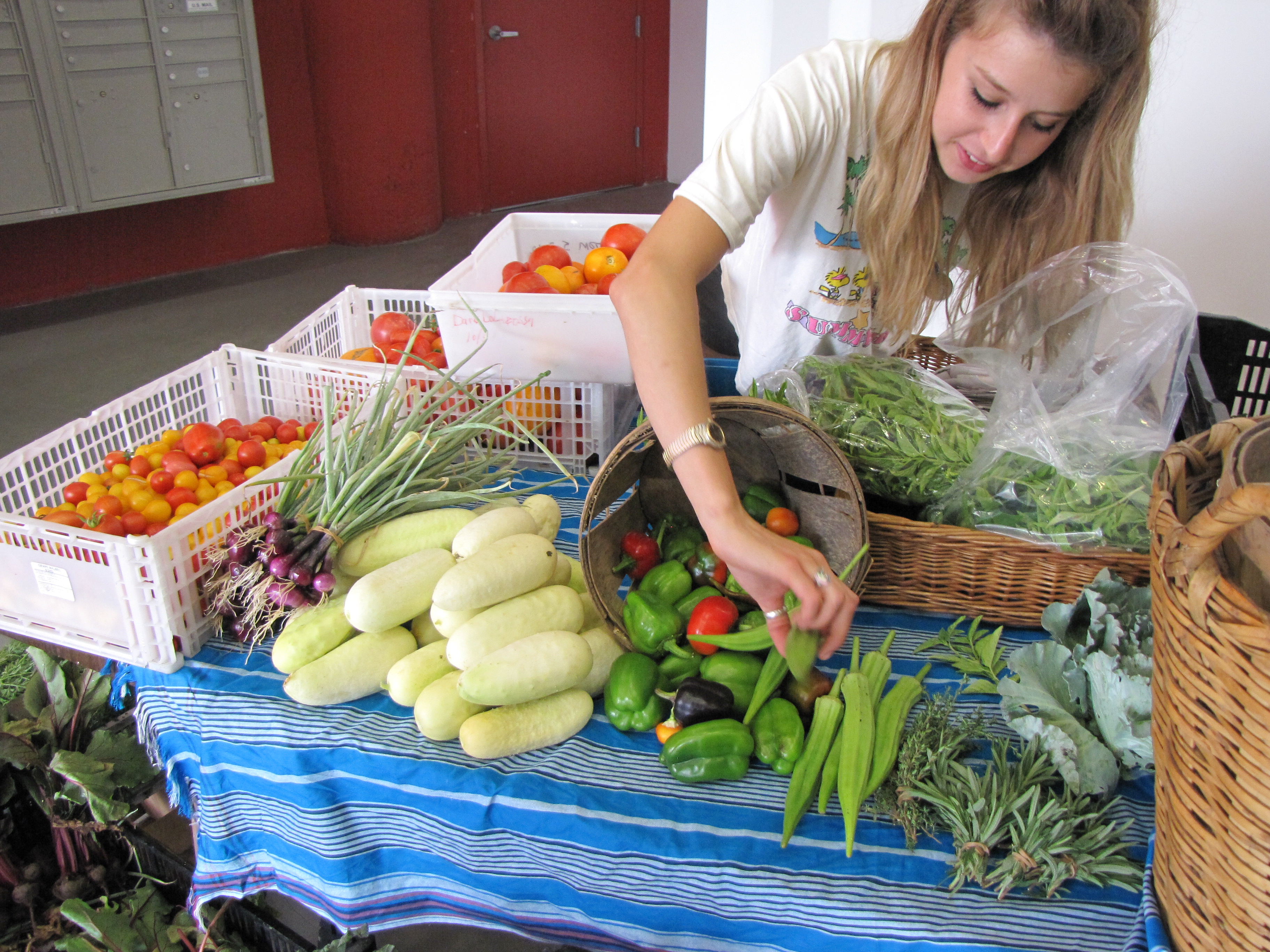 Brooklyn Grange Farm