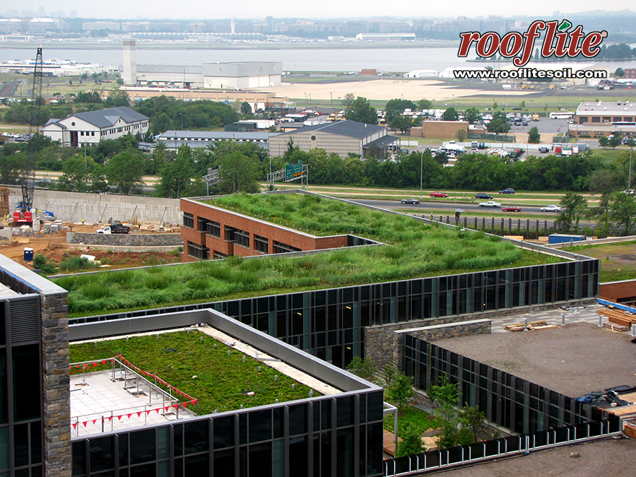 Green Roof